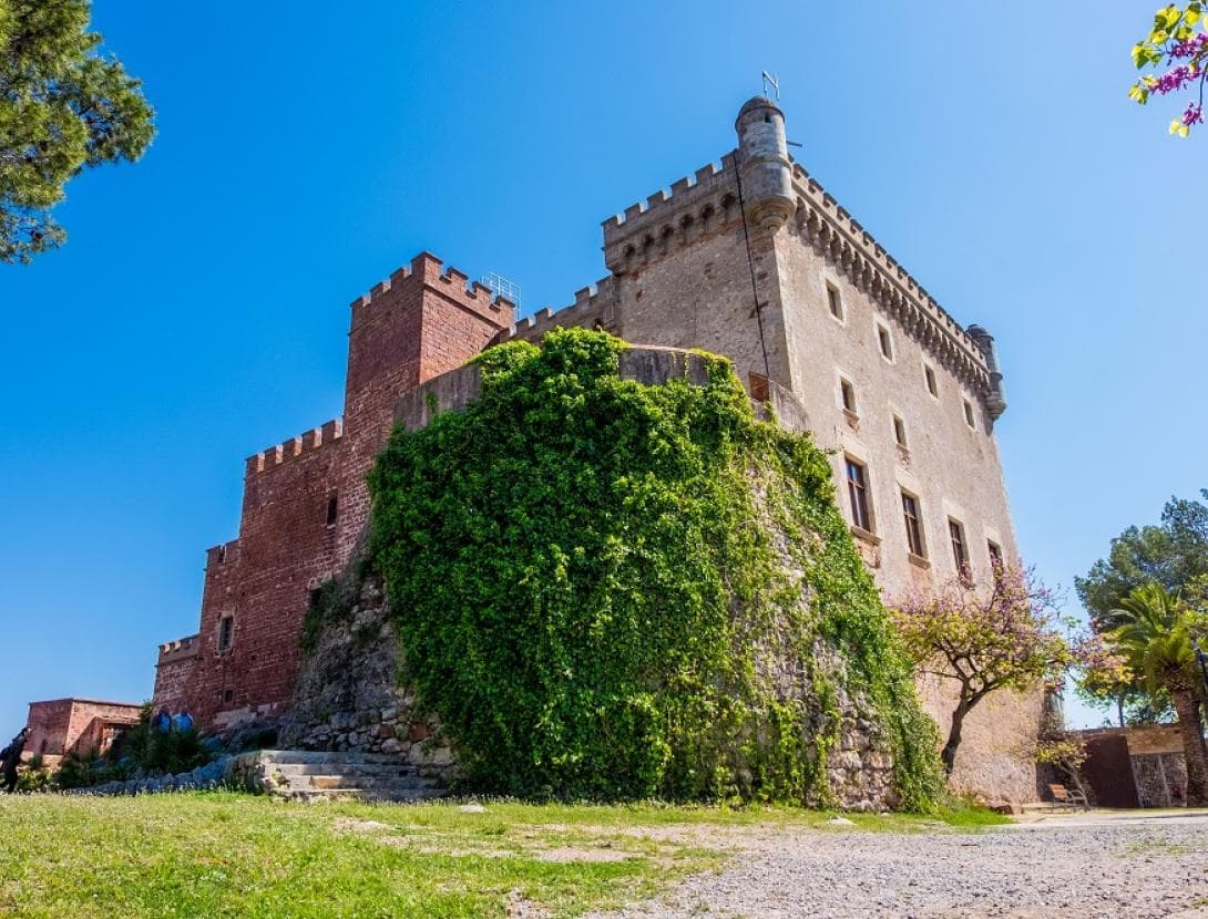 Visita guiada al Museu del Castell